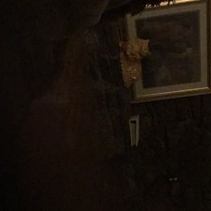 Meet your Posher, Dianne